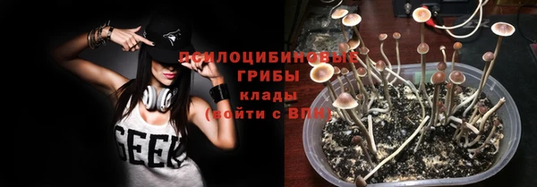 спиды Карпинск