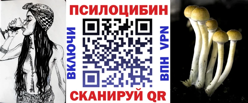 Купить где  Северодвинск  Псилоцибиновые грибы Magic Shrooms 